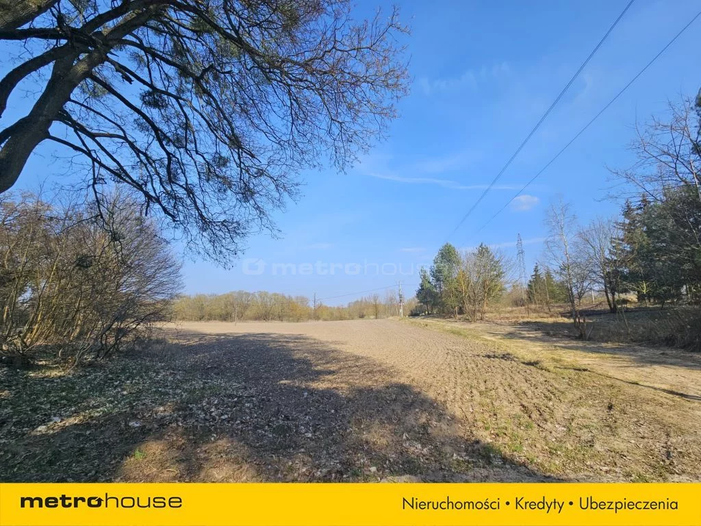 SGNACI328 - zdjęcie nr 3