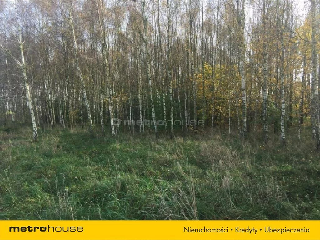 Działka 12 100,00 m², oferta nr , MYGO655, Cieksyn