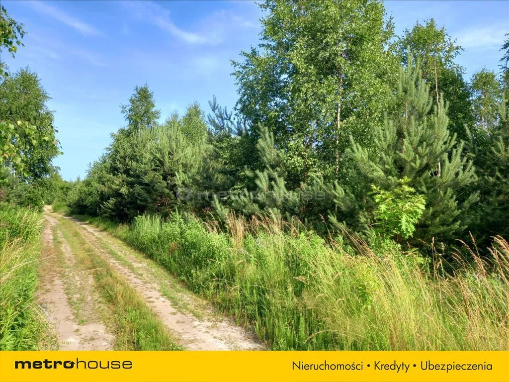 Działka 1 082,00 m², oferta nr , DUNA896, Ciężków