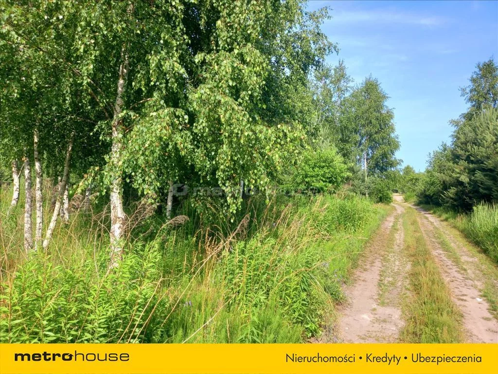 Działka 1 082,00 m², oferta nr , DUNA896, Ciężków