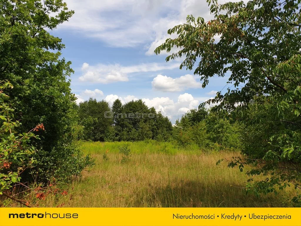Działka 10 773,00 m², oferta nr , SGHEBY910, Cisie