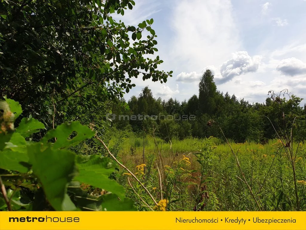 Działka 10 773,00 m², oferta nr , SGHEBY910, Cisie