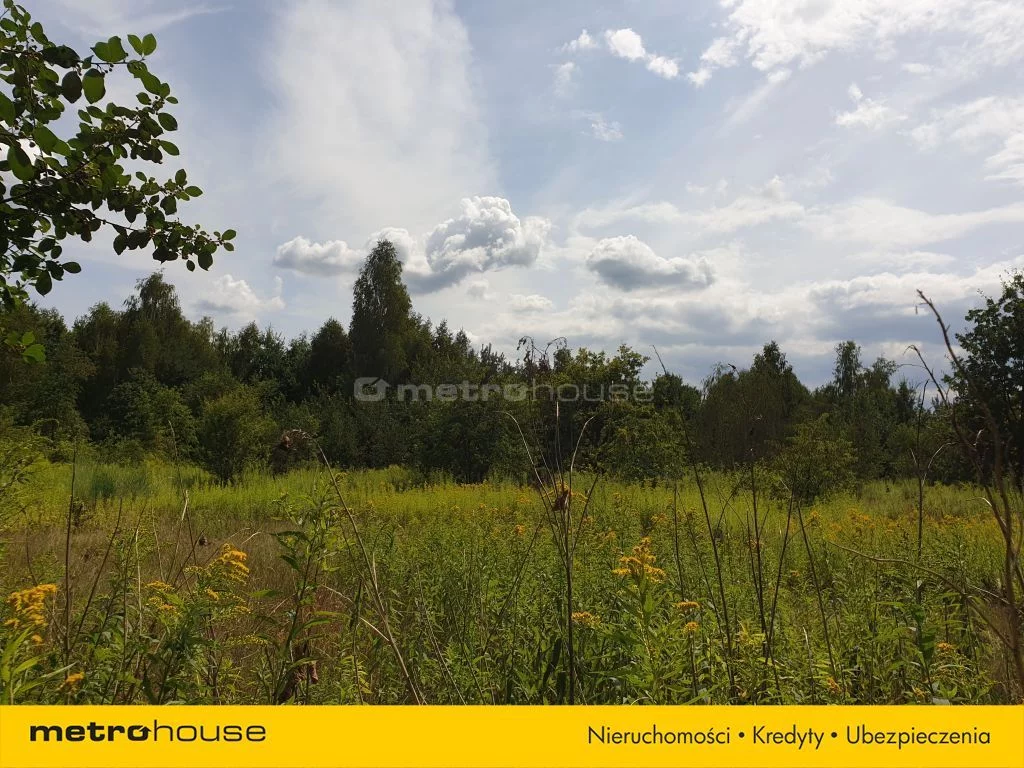Działka 10 773,00 m², oferta nr , SGHEBY910, Cisie