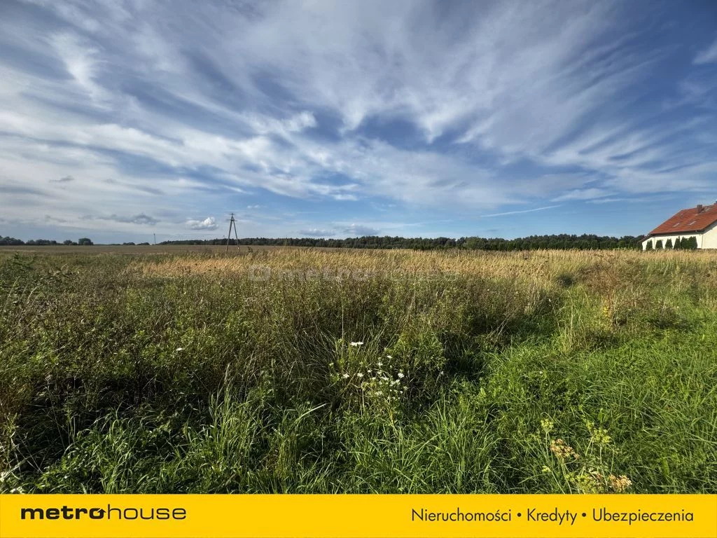 Działka 6 100,00 m², oferta nr , SGCOCO114, Czernin