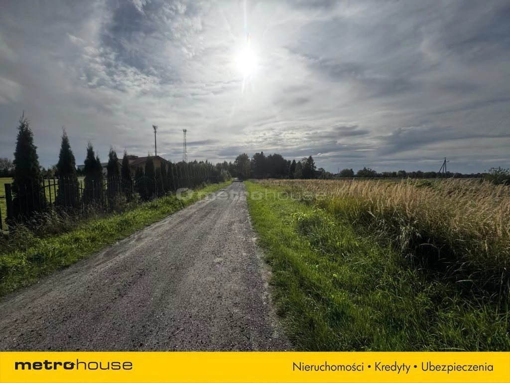Działka 6 100,00 m², oferta nr , SGCOCO114, Czernin