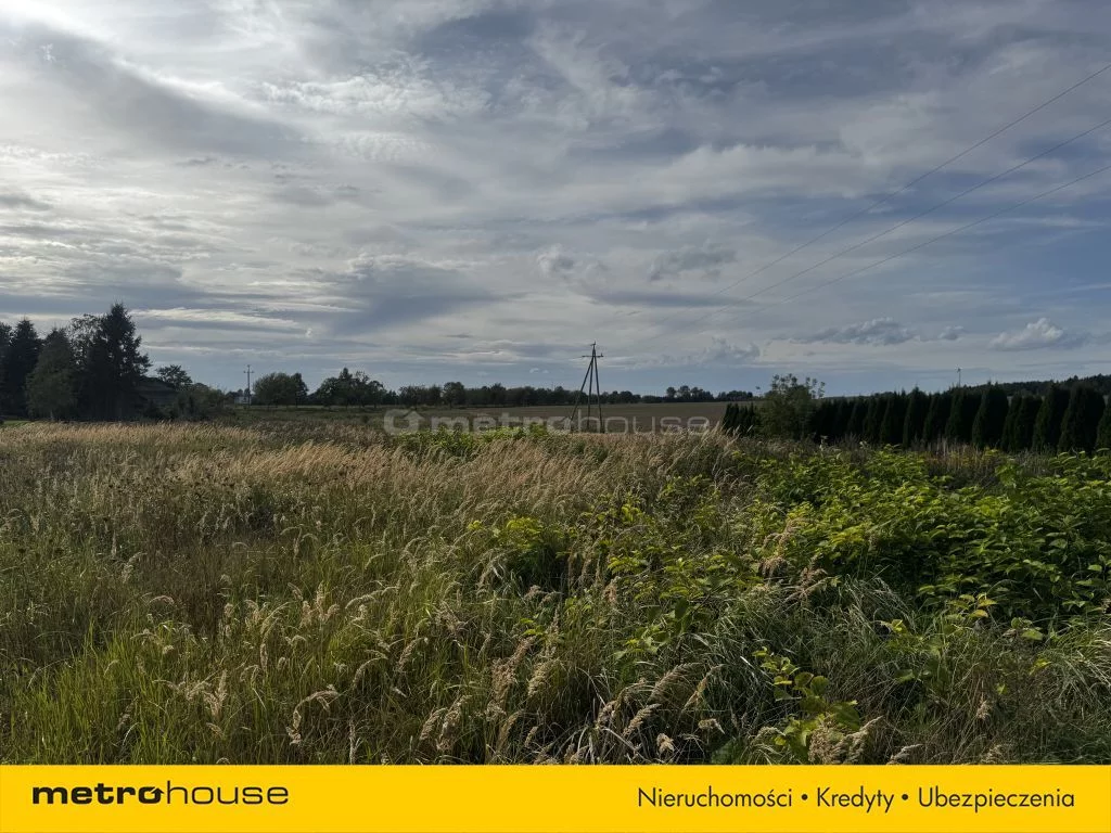 Działka 6 100,00 m², oferta nr , SGCOCO114, Czernin