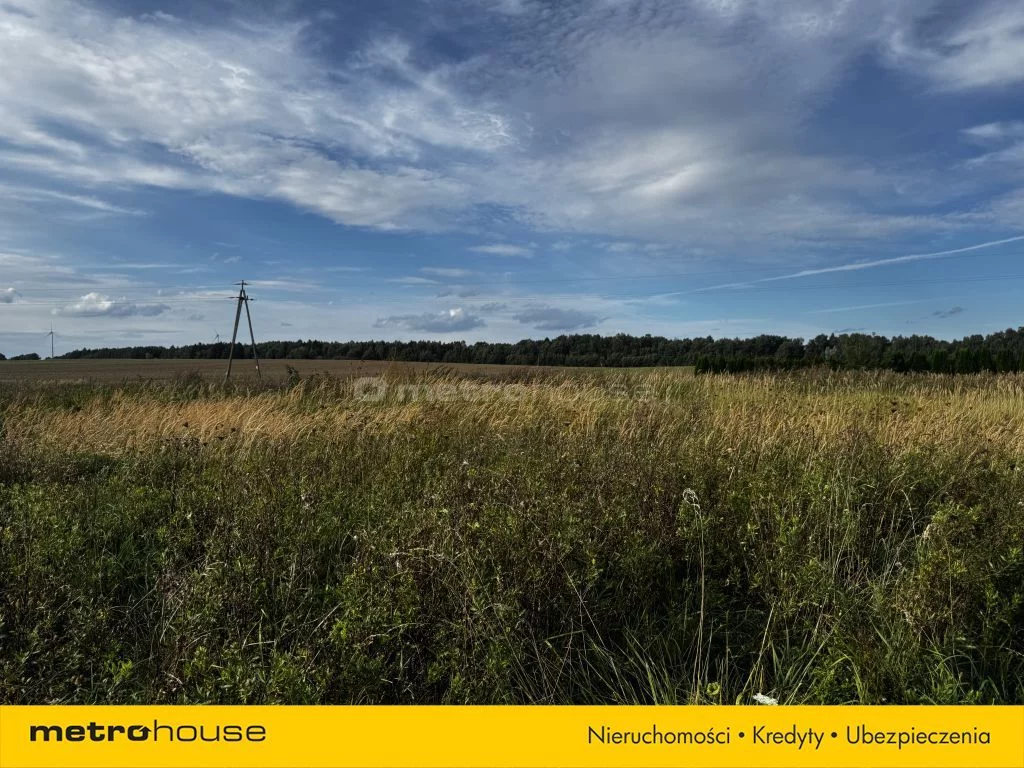 Działka 6 100,00 m², oferta nr , SGCOCO114, Czernin