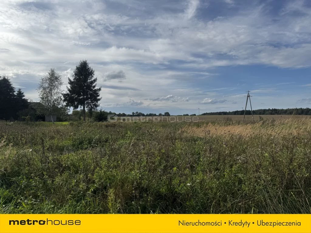 Działka 6 100,00 m², oferta nr , SGCOCO114, Czernin