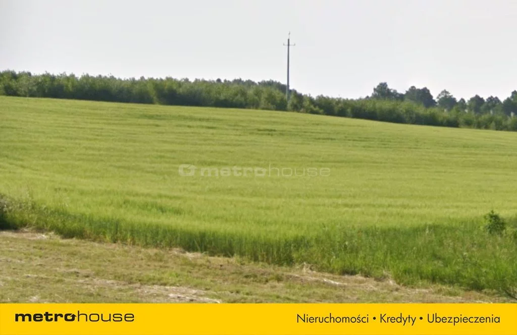 Działka 11 501,00 m², oferta nr , SGCOZA451, Czerwonak