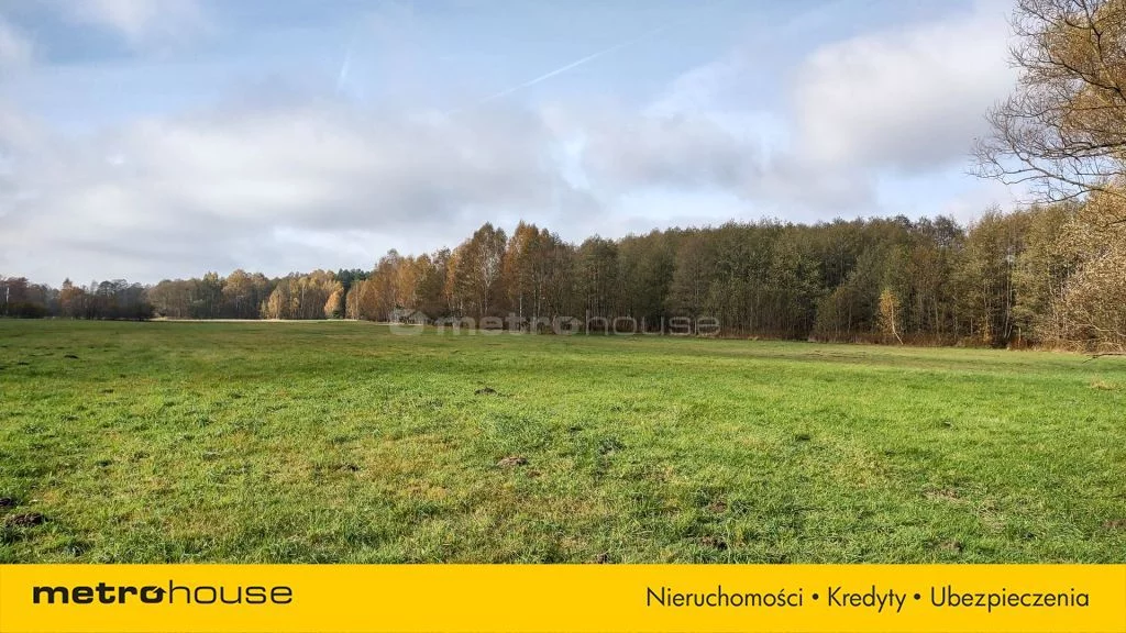 SGGEFE396 - zdjęcie nr 4