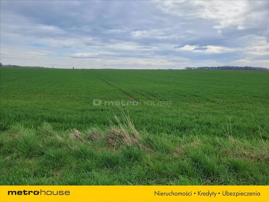 Działka 22 805,00 m², oferta nr , HEHU060, Dąbie