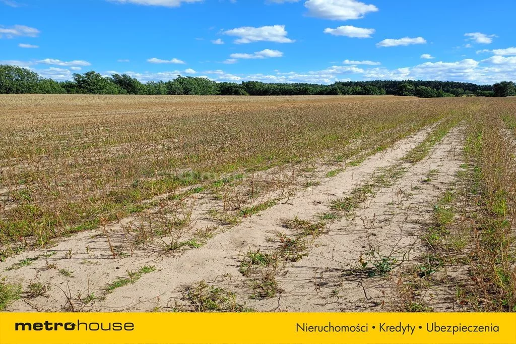 Działka 13 300,00 m², oferta nr , SGTACI279, Dąbkowice Dolne