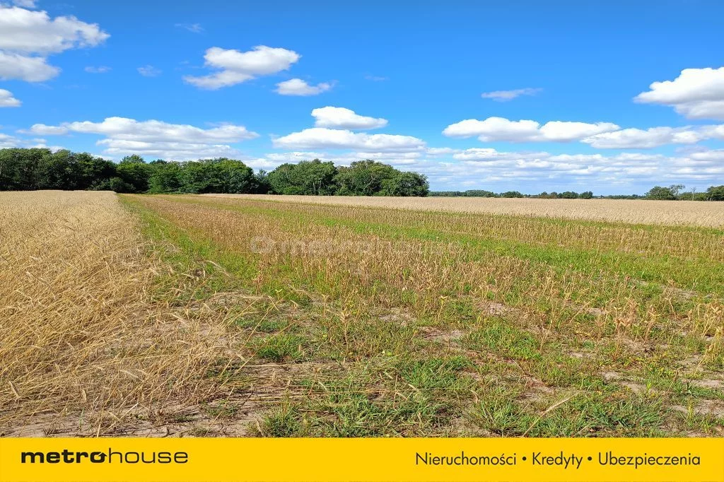 Działka 13 300,00 m², oferta nr , SGTACI279, Dąbkowice Dolne