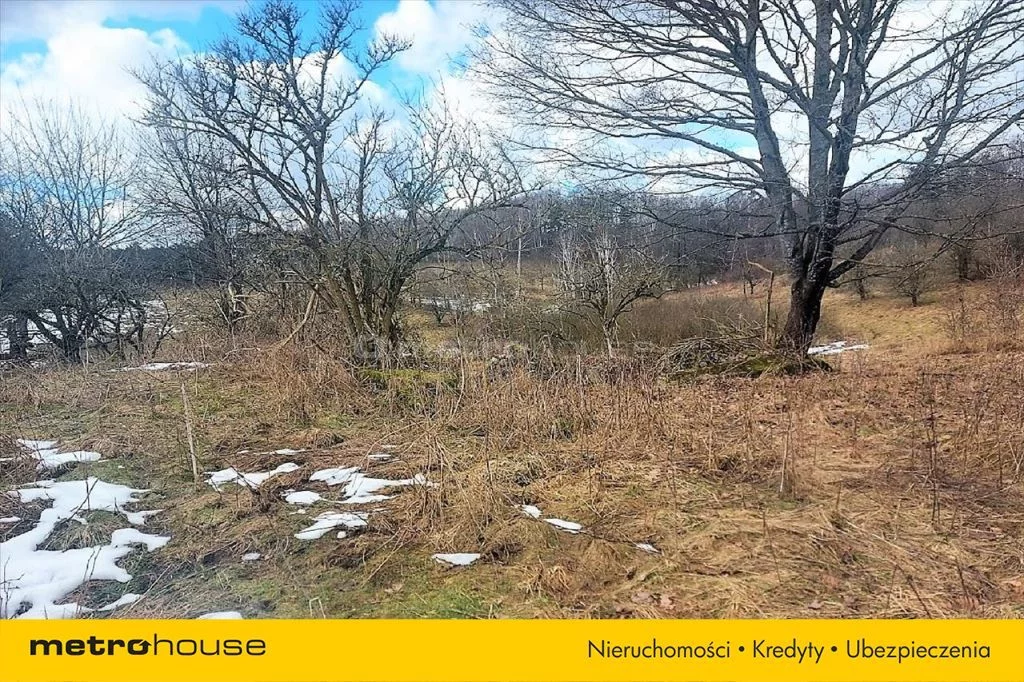 Działka 433 554,00 m², oferta nr , LUZO403, Dąbrówno