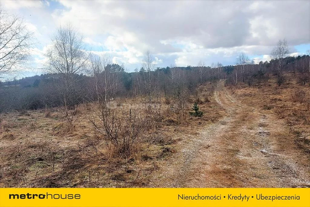 Działka 133 554,00 m², oferta nr , GUGY288, Dąbrówno