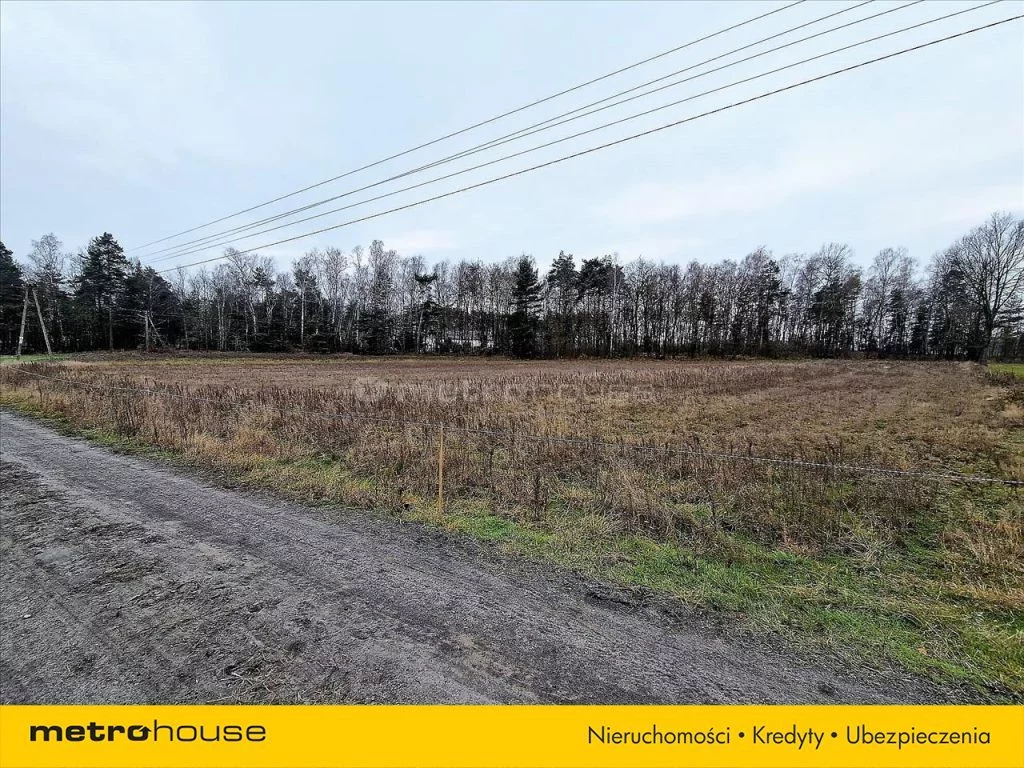 Działka 40 000,00 m², oferta nr , WOME062, Dalików