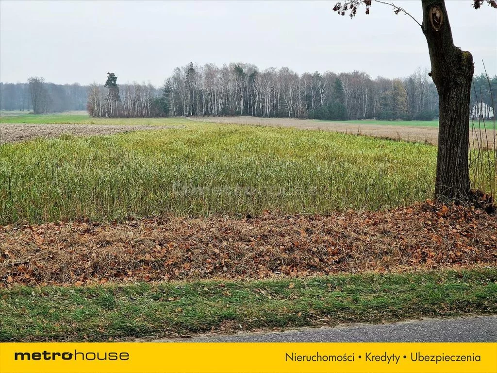 Działka 40 000,00 m², oferta nr , WOME062, Dalików