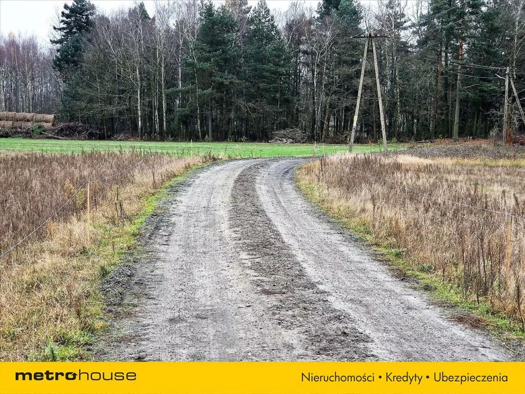 Działka 40 000,00 m², oferta nr , WOME062, Dalików