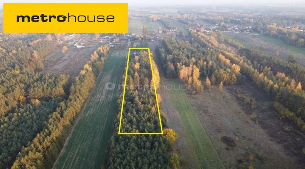 Działka 8 753,00 m², Dębinki, Sprzedaż