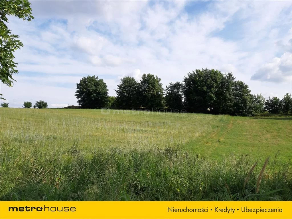 Działka 11 500,00 m², oferta nr , RULA112, Dębogórze