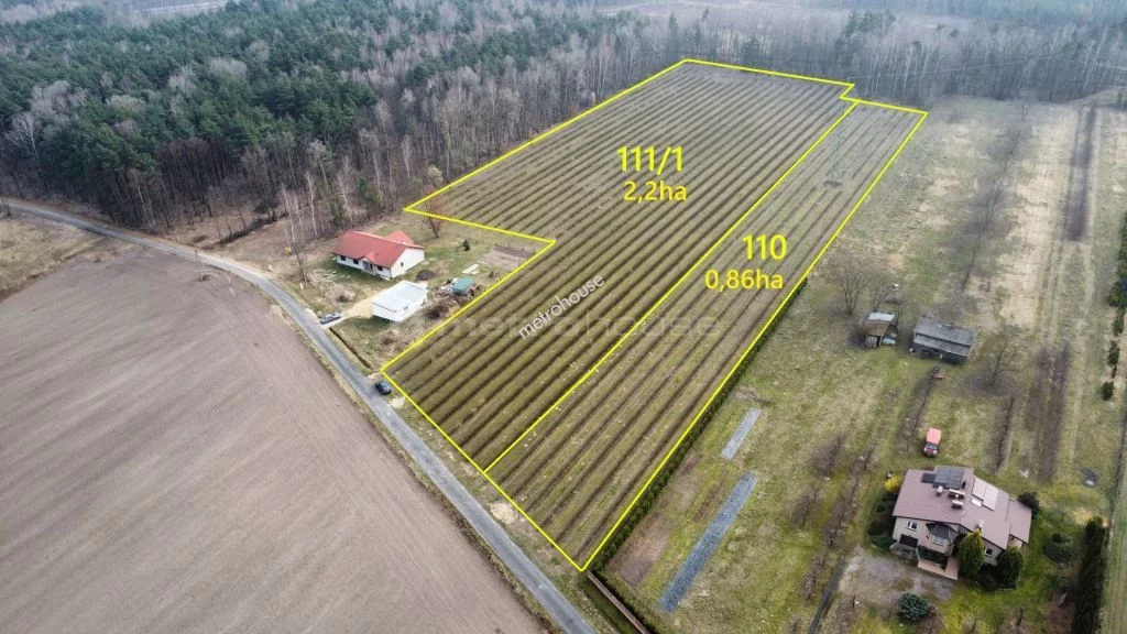 Działka 22 000,00 m², oferta nr , SGKECU718, Powązki, Dębowa