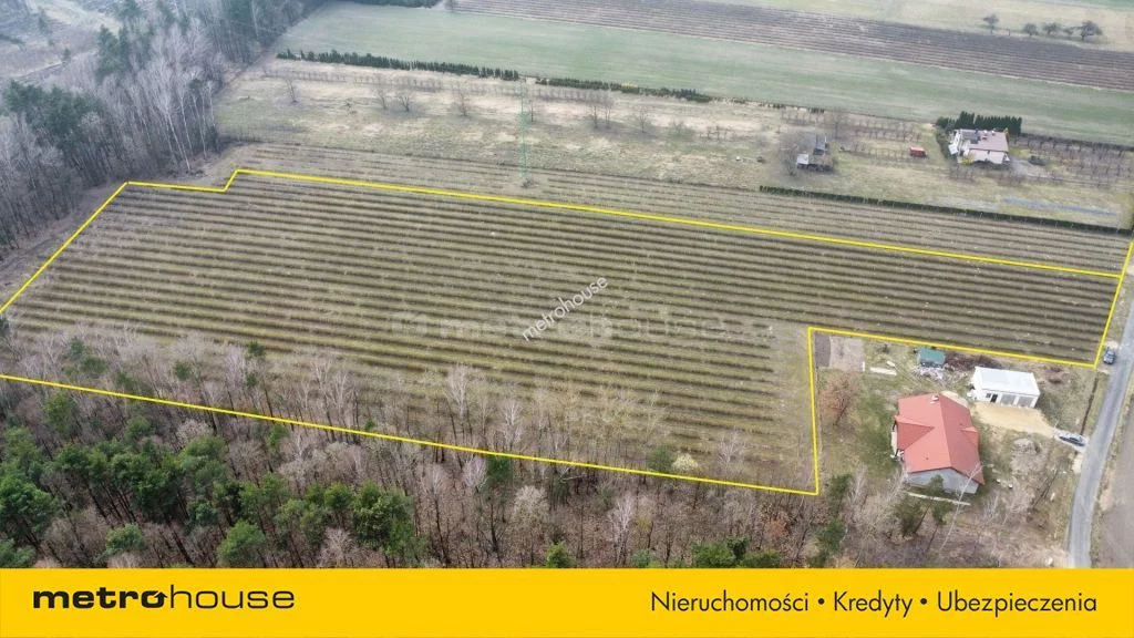 Działka 22 000,00 m², oferta nr , SGKECU718, Powązki, Dębowa