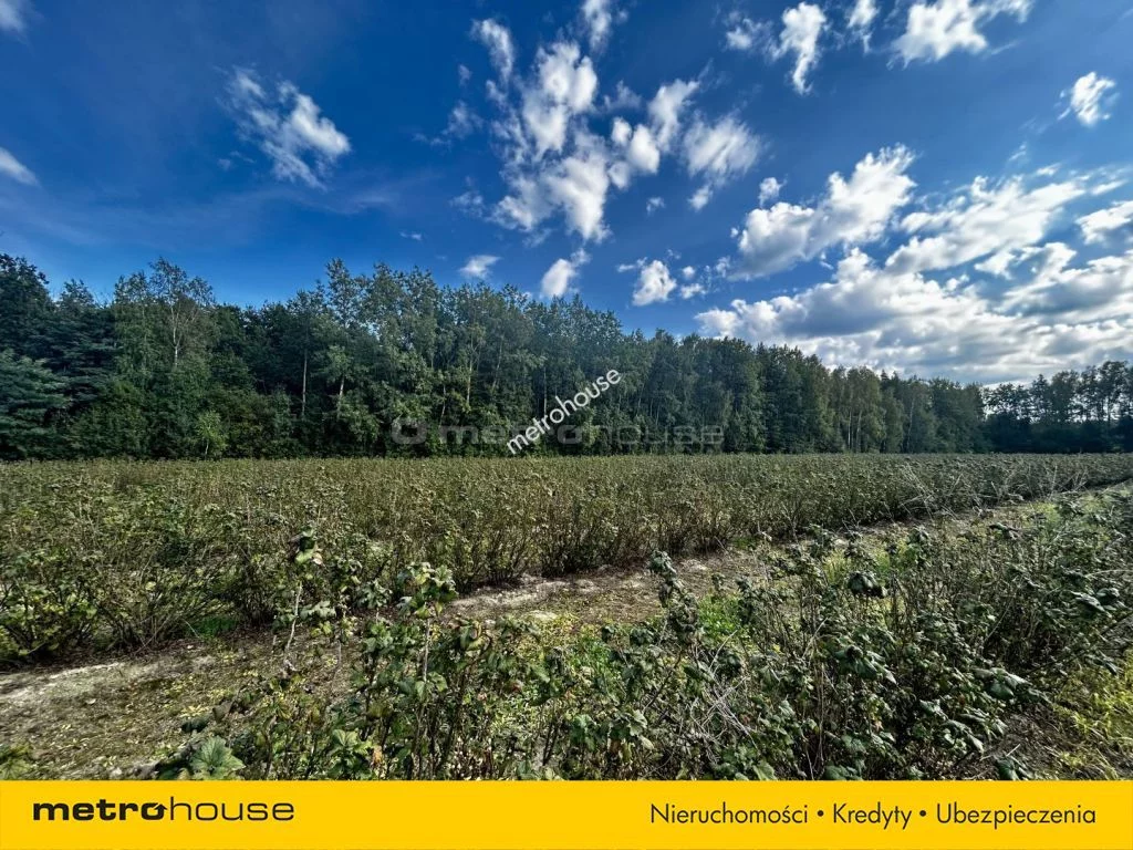 Działka 8 600,00 m², oferta nr , SGVUSO975, Powązki, Dębowa