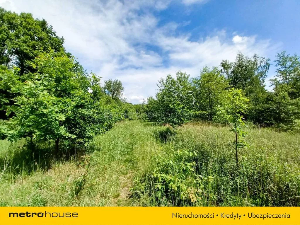 Działka 6 768,00 m², oferta nr , SGBAPU477, Spalice, Dębowa