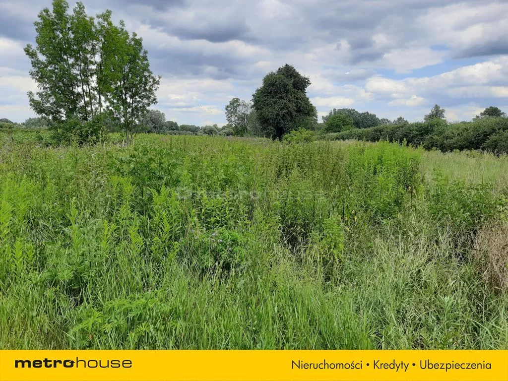 Działka 11 798,00 m², oferta nr , SGZUKE864, Dębówka