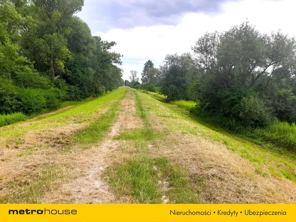 Działka 11 798,00 m², oferta nr , SGZUKE864, Dębówka