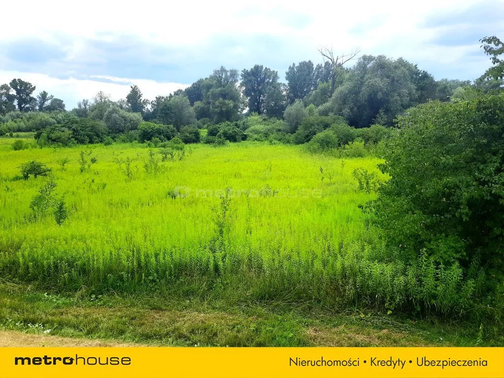 Działka 11 798,00 m², oferta nr , SGZUKE864, Dębówka