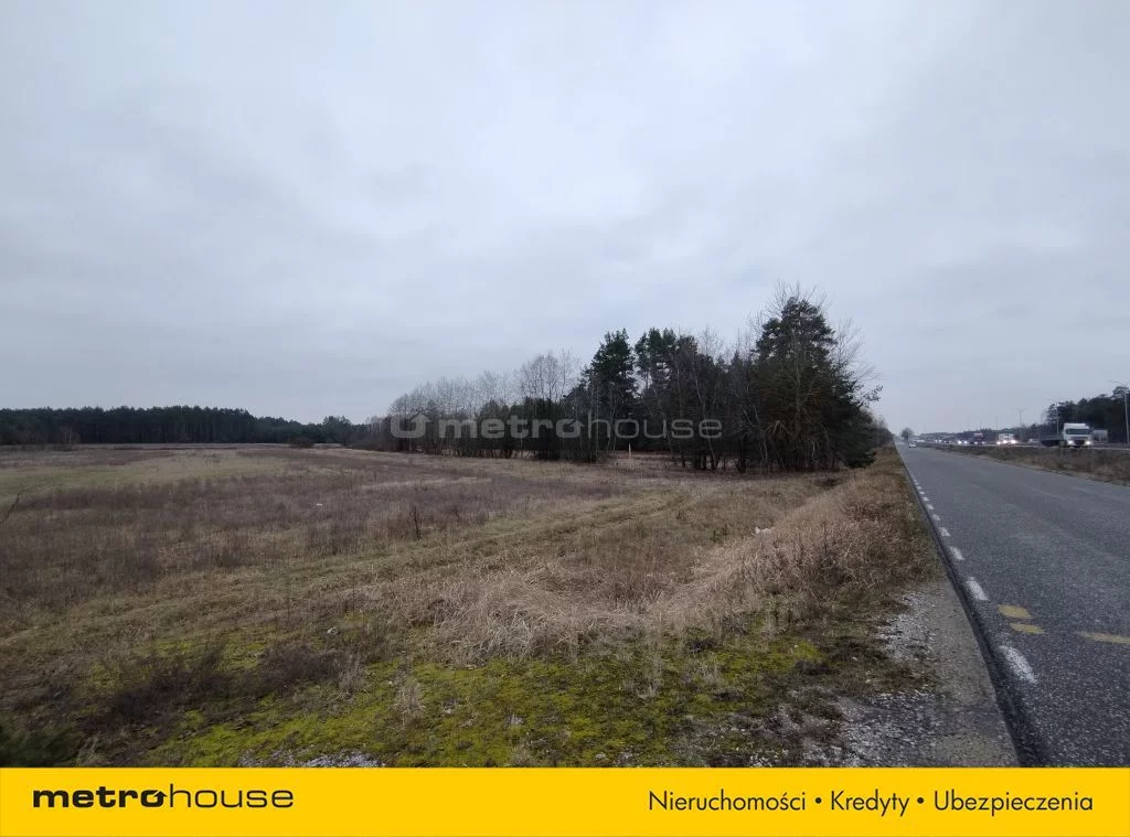 Działka 8 053,00 m², oferta nr , SGCOTI795, Deskurów