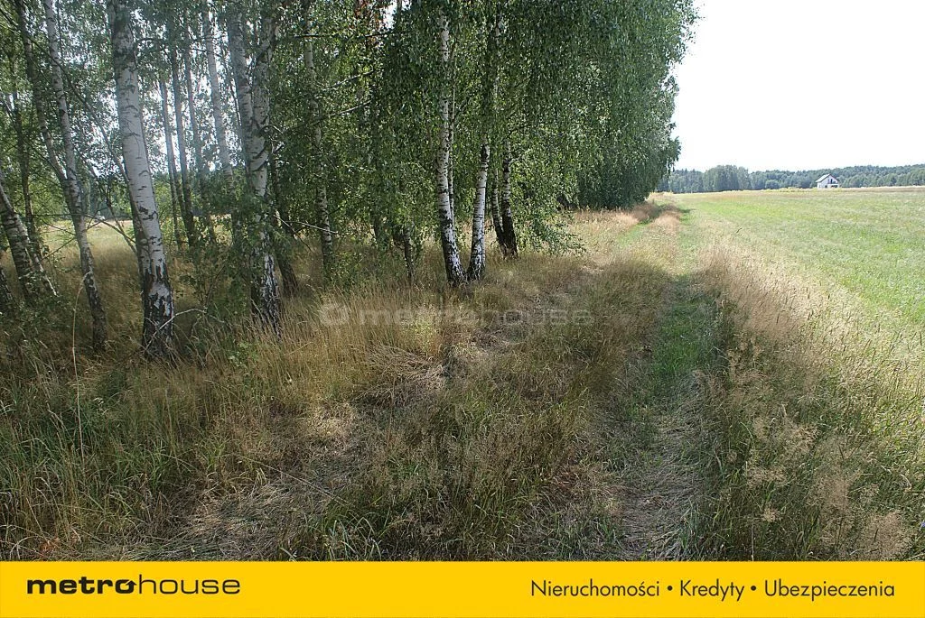 Działka 15 000,00 m², oferta nr , SGHARE997, Jakubów, Dobra