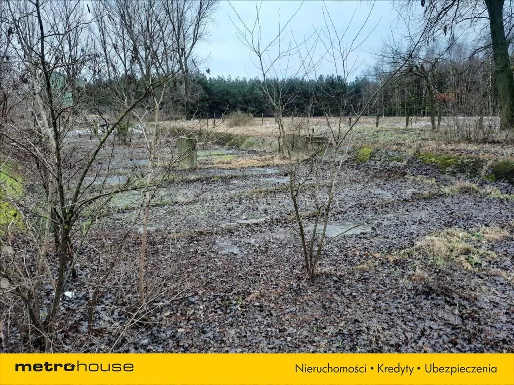 Działka 10 188,00 m², oferta nr , MABU176, Dobre