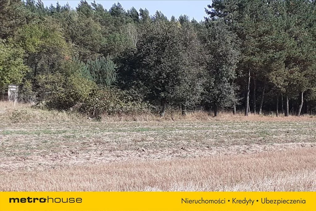 Działka 6 264,00 m², oferta nr , LOKO942, Dobrzanów