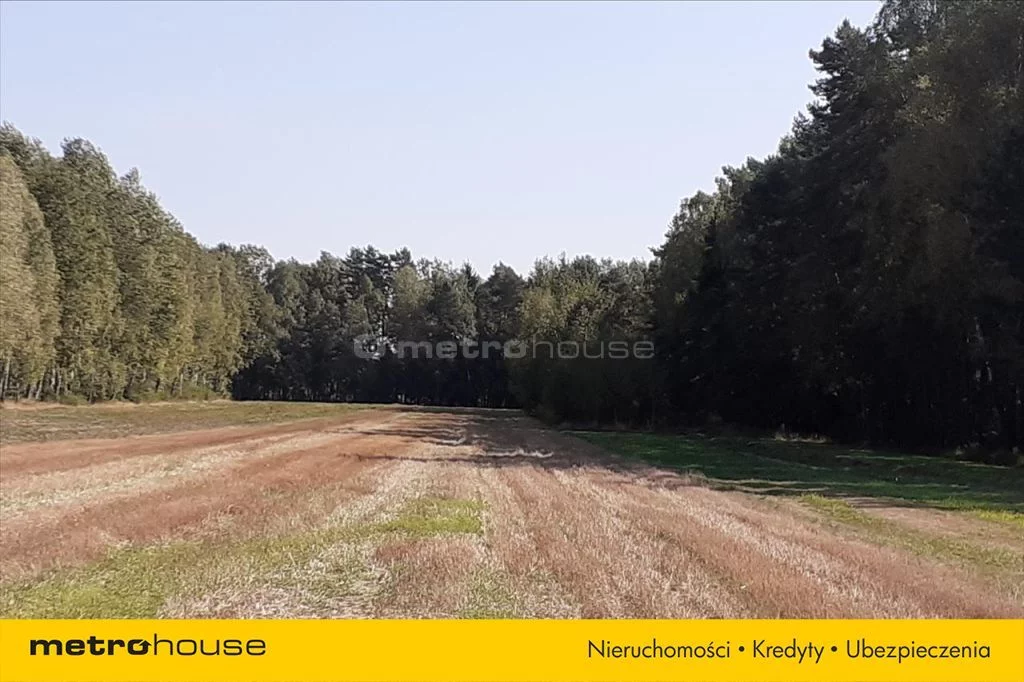Działka 6 264,00 m², oferta nr , LOKO942, Dobrzanów