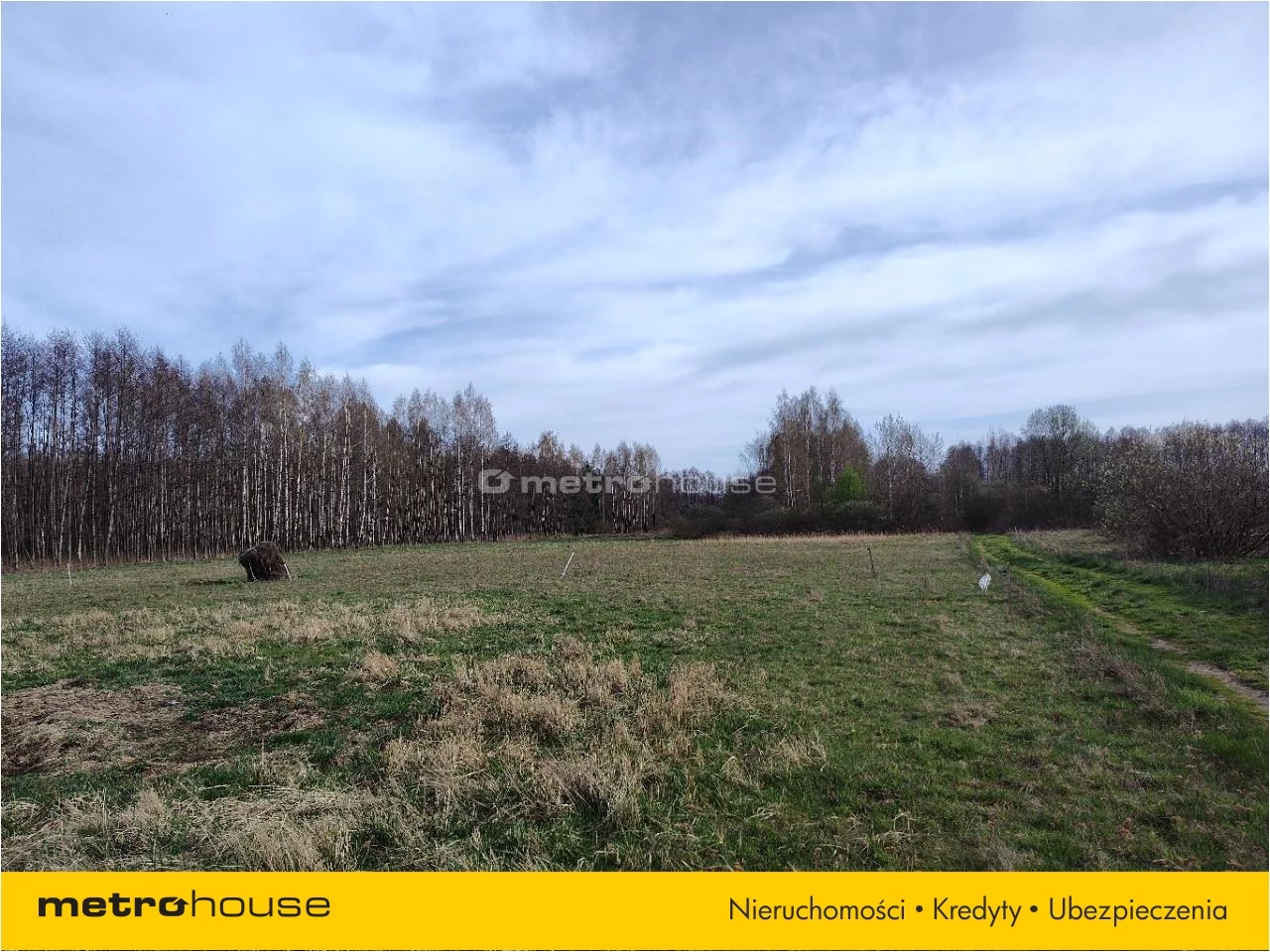 PAZE639 - zdjęcie nr 2