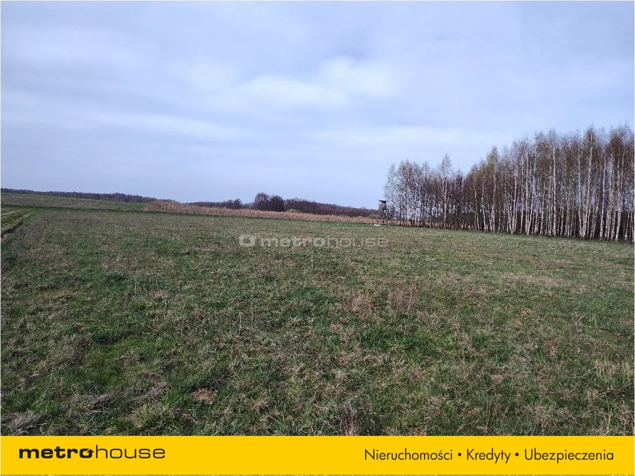 Działka 4 120,00 m², oferta nr , PAZE639, Dobrzyki