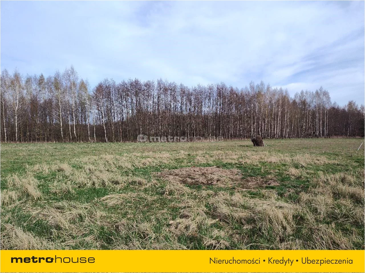 Działka 4 120,00 m², oferta nr , PAZE639, Dobrzyki
