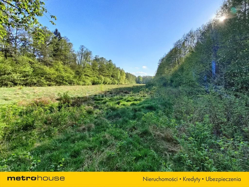 SGCIDI638 - zdjęcie nr 2