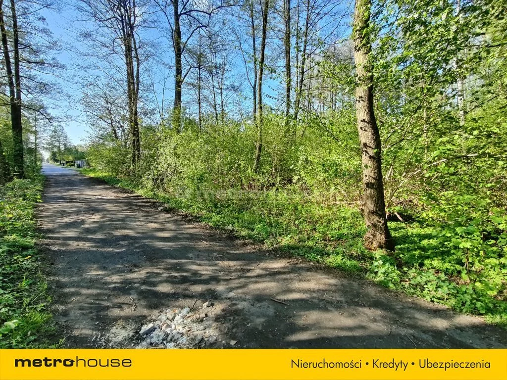 SGCIDI638 - zdjęcie nr 4