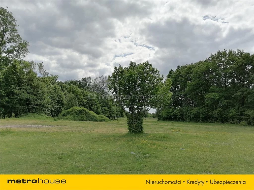 Działka 17 393,00 m², oferta nr , KAFA329, Domaniewice
