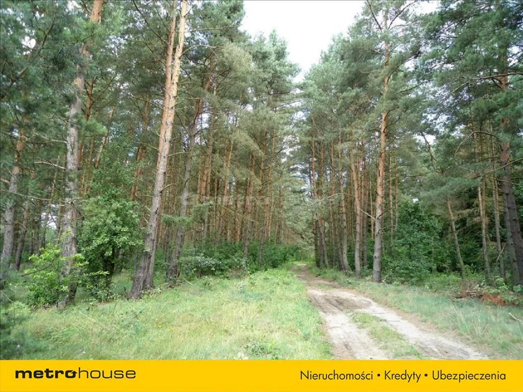 Działka 28 276,00 m², oferta nr , WEZA123, Dopiewo