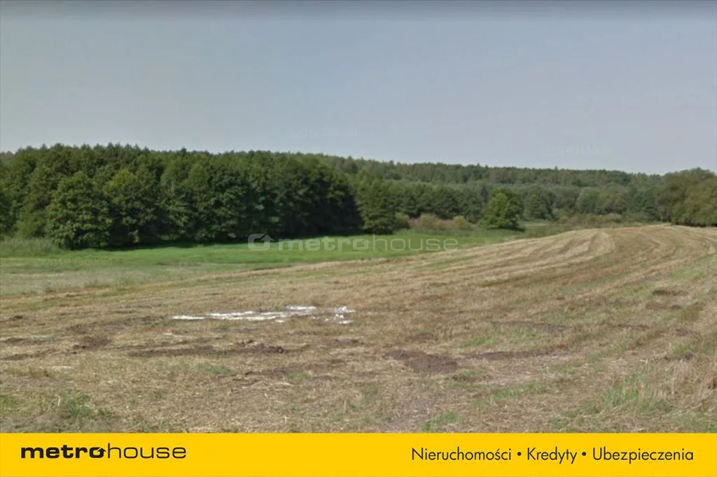 Działka 30 000,00 m², oferta nr , ZYWA247, Dopiewo