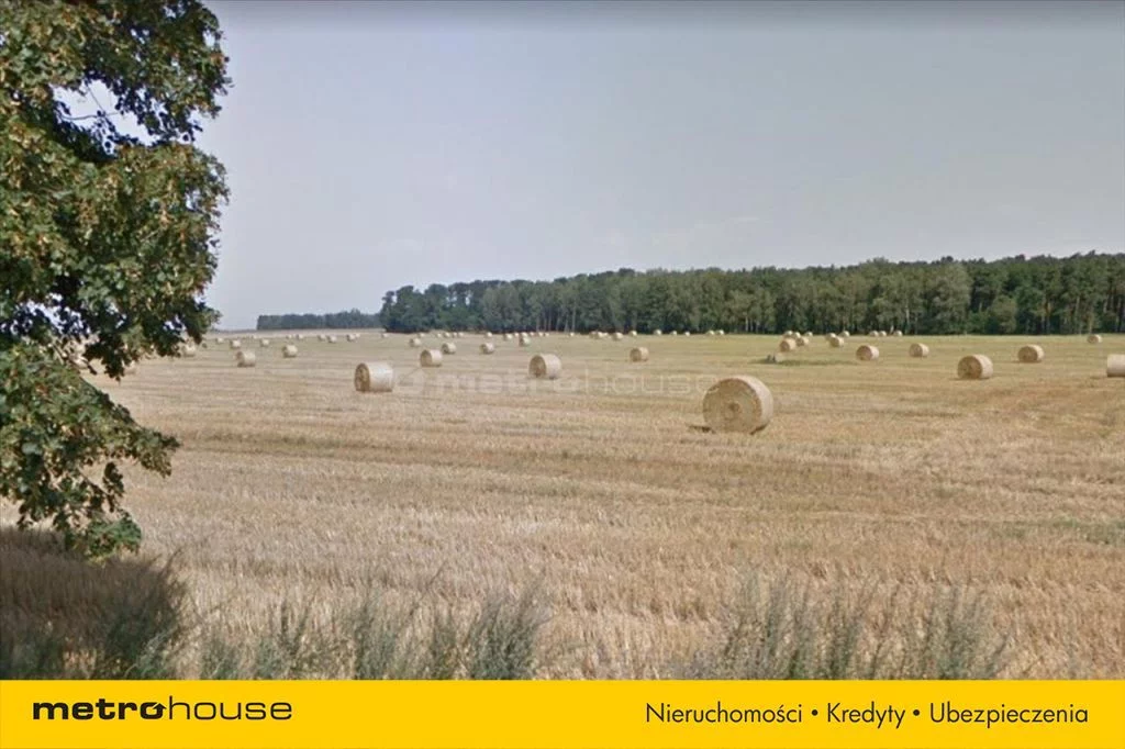 Działka 30 000,00 m², oferta nr , RUKA186, Dopiewo