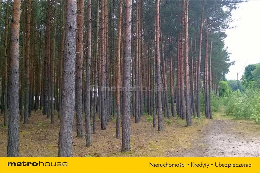 Działka 14 400,00 m², oferta nr , REFO288, Dopiewo