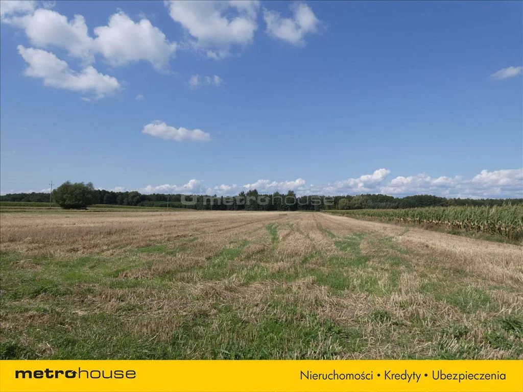 Działka 60 500,00 m², oferta nr , LOCO285, Drochowo