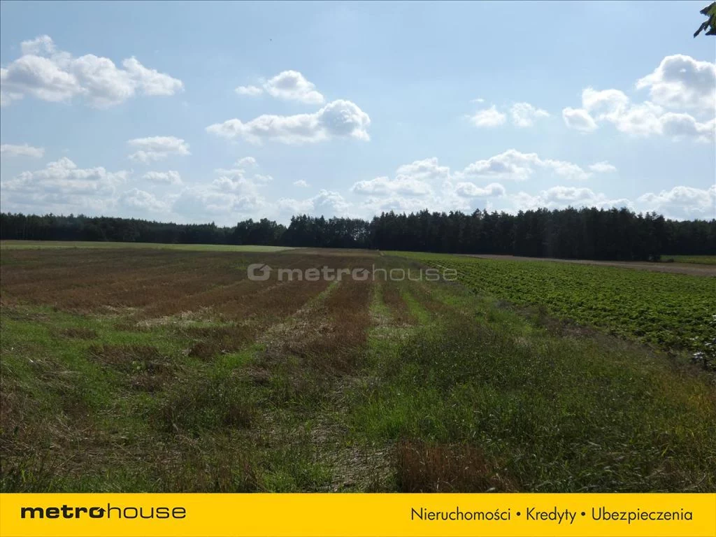 Działka 13 500,00 m², oferta nr , LYGO699, Drochowo