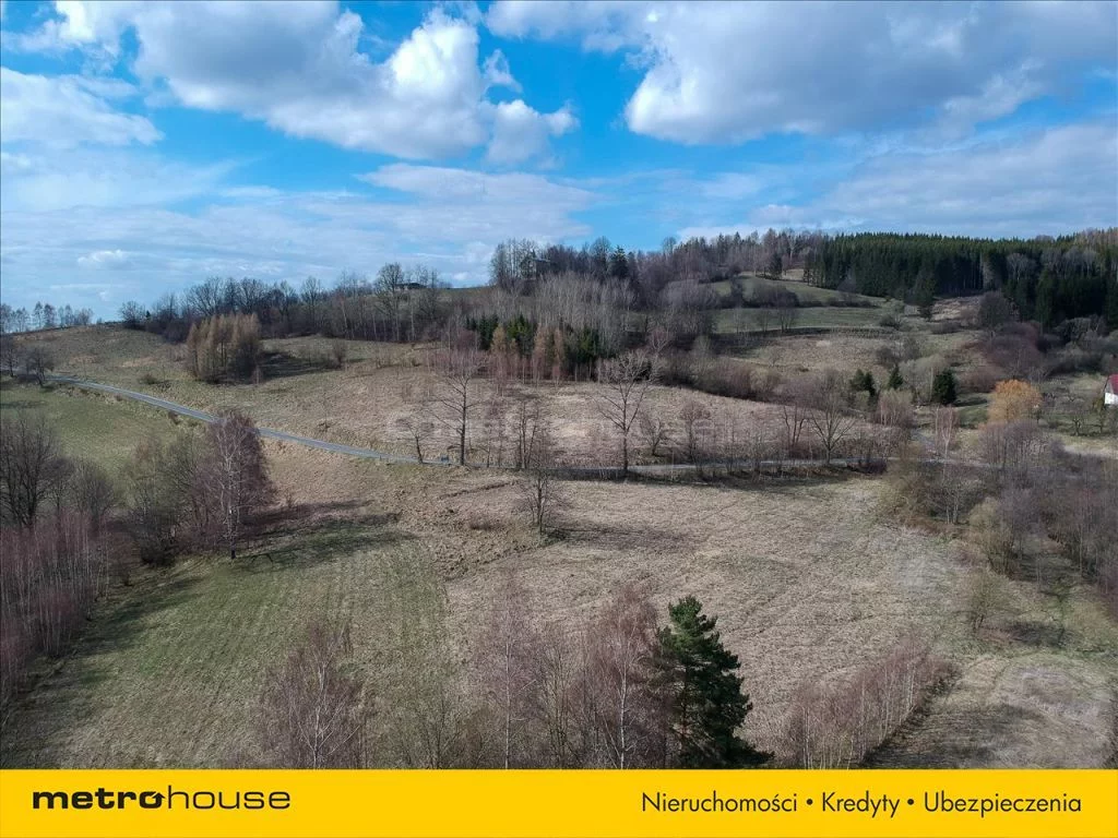 Działka 10 000,00 m², oferta nr , DEDA846, Droszków
