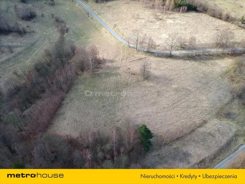 Działka 10 000,00 m², oferta nr , DEDA846, Droszków